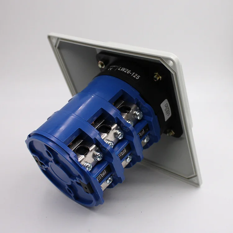 LW26-125/3 Waterproof Insulation Three-phase Motor Power Switch Universal Transfer Switch Box Rotary Changeover Switch
