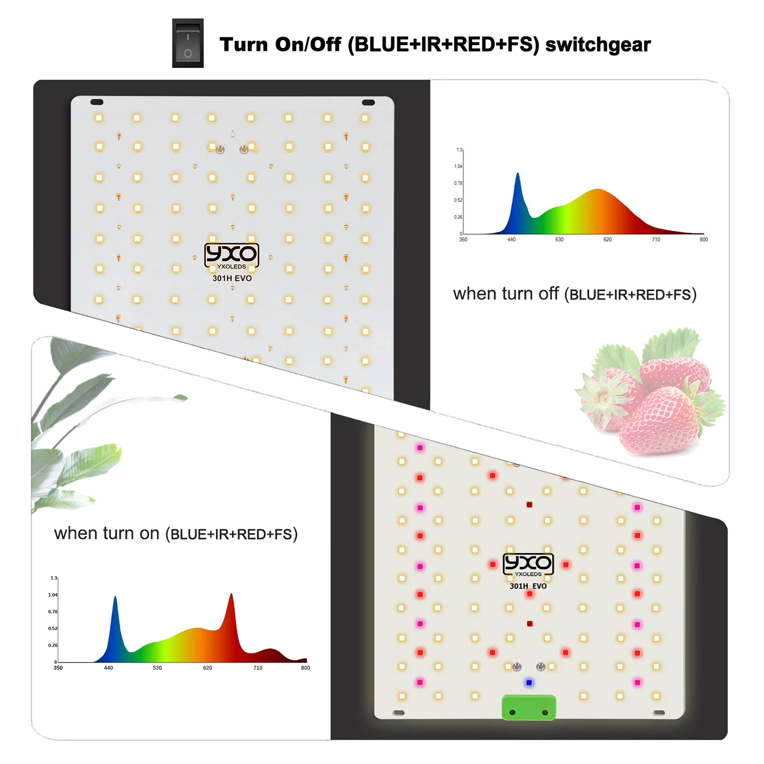 65W LM301H EVO LED Grow Light 3500K IR Full Spectrum Grow Light For Hydroponic Gardening Indoor