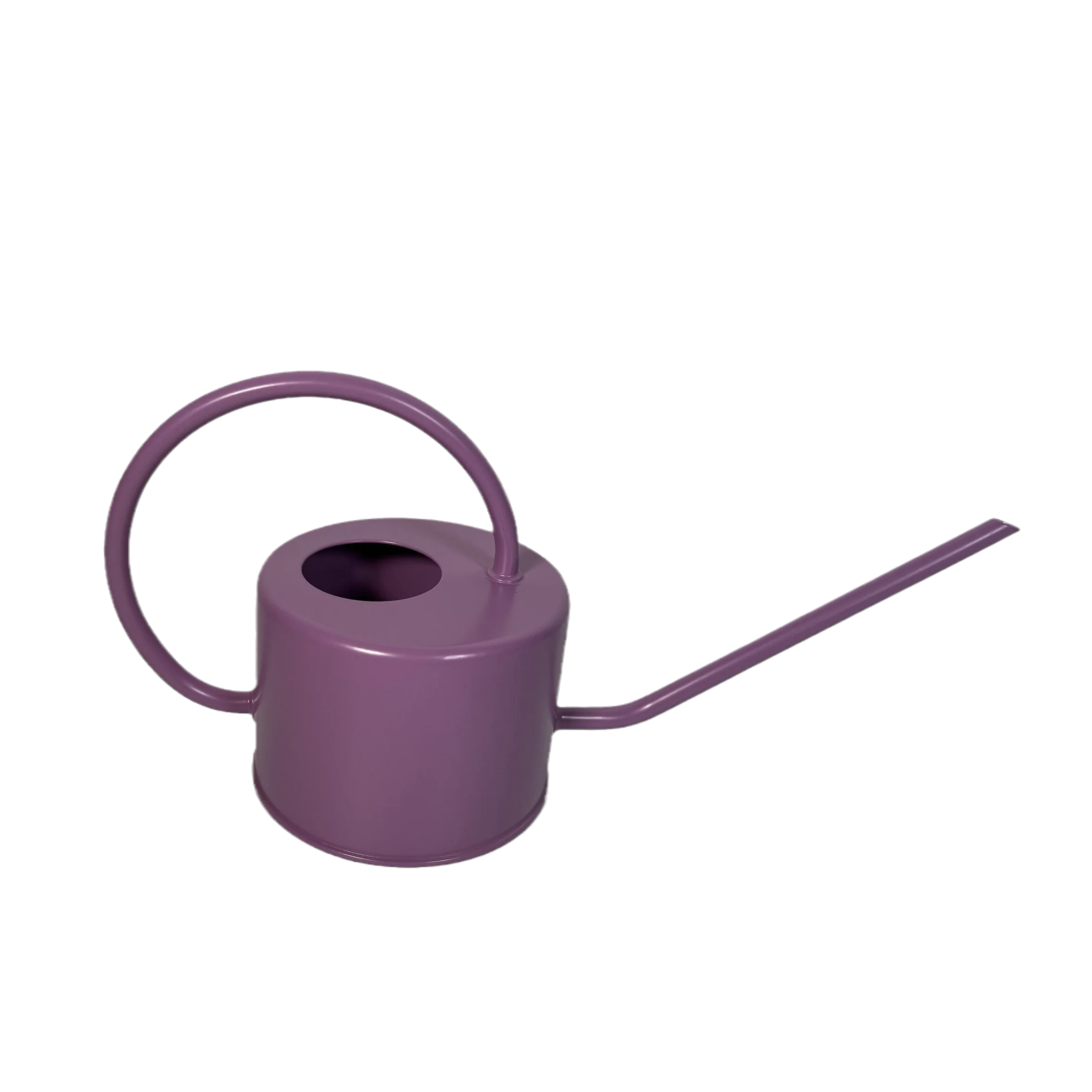 1 Gallon Watering Can With Removable Brass Rose Vintage Galvanized Steel Garden Plant Watering Can