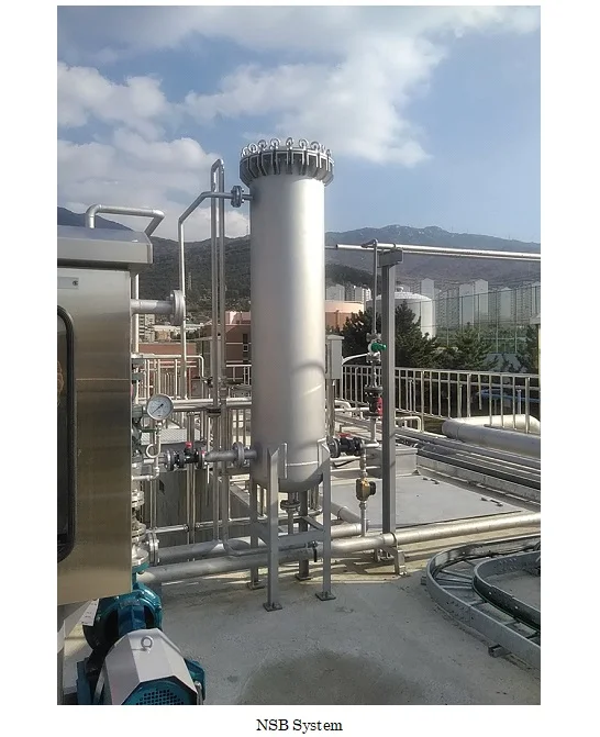 Japanese ozone treatment smell prevention sewage purifying agent