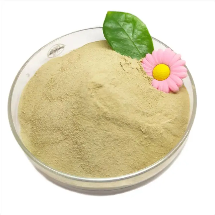 Compost Amino Acid Powder Fertilizer For root Stimulating Water Soluble AminoAcids 45%