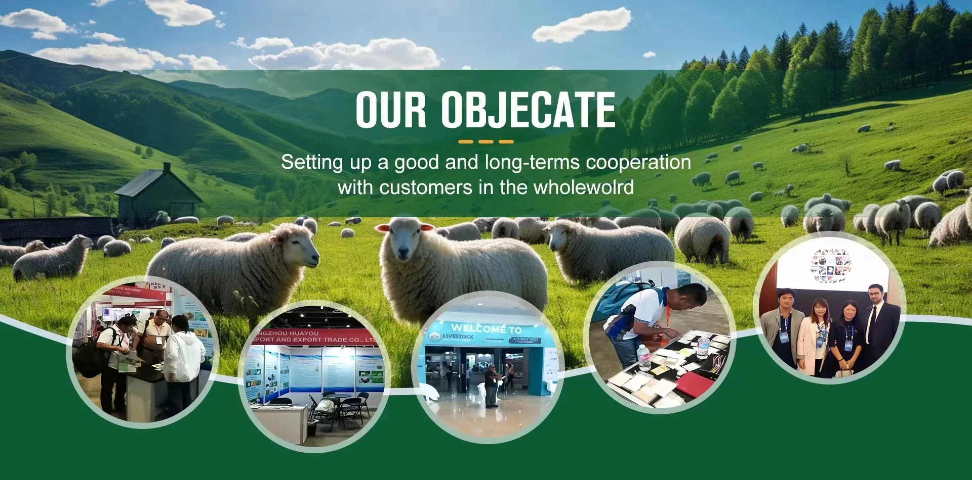 mixing feed additives for animal aquatic feed additive