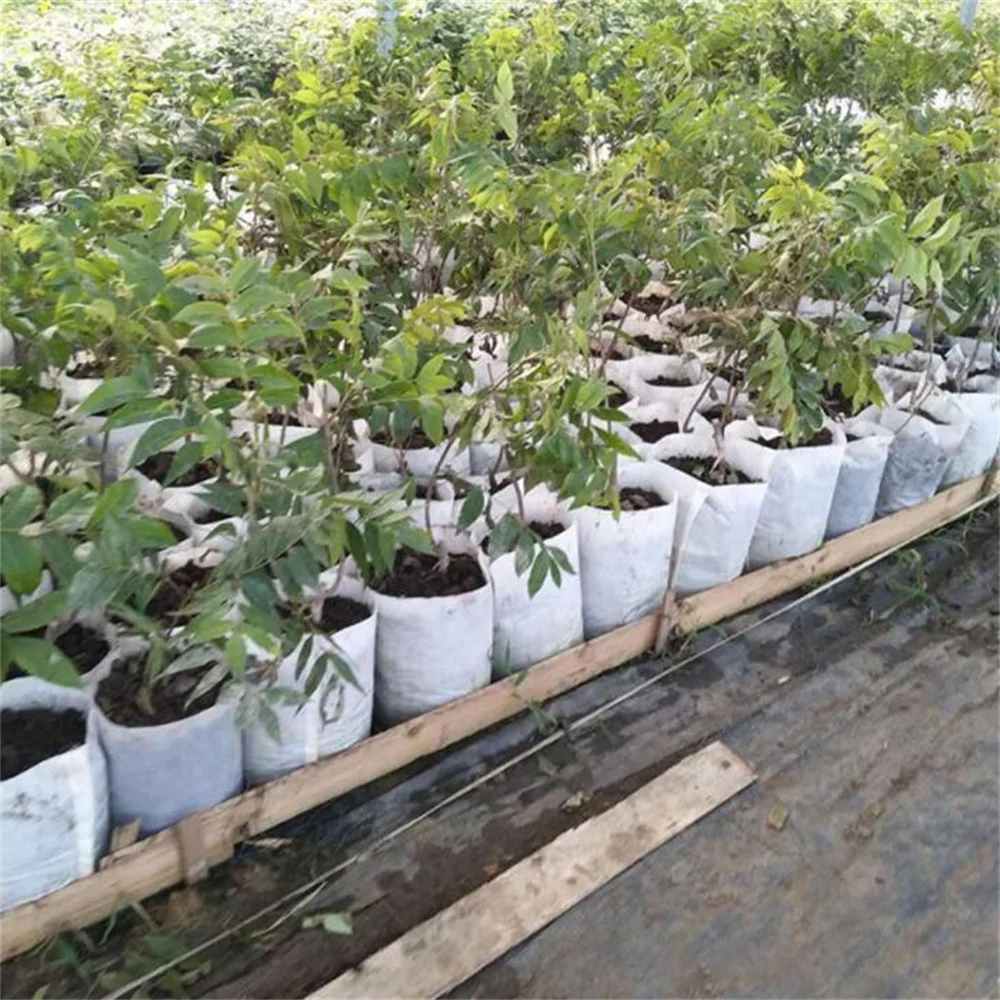Seedling Growing Planter Planting Pots Non Woven Nursery Bag Grow Bags to Vegetable Flower 7*9cm