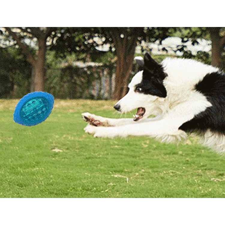 Wholesale Squeaky Pet Ball Dog Training Toys Pet Chew Toys With LED Light Dog Toy Ball