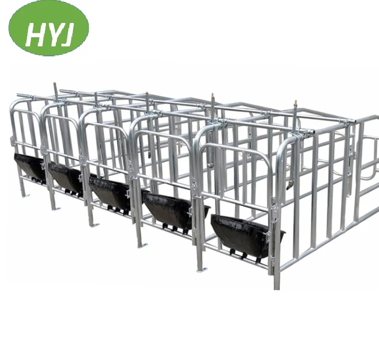 Double pig farming equipment farrowing crate / Piggery Gestation pens