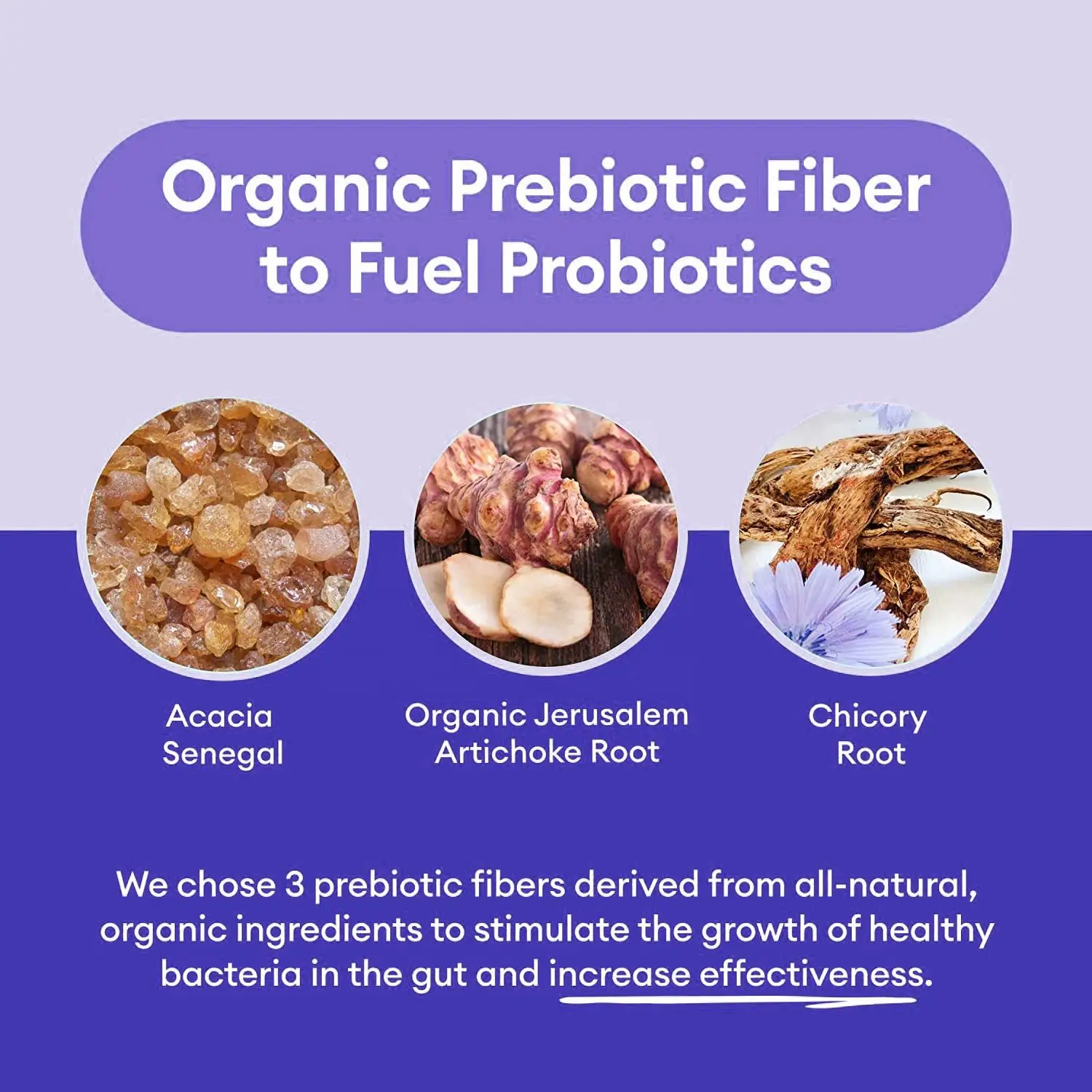 Own-brand Probiotic capsules OEM 60 billion CFU Vegetarian probiotic capsules for women Balanced supplements for women