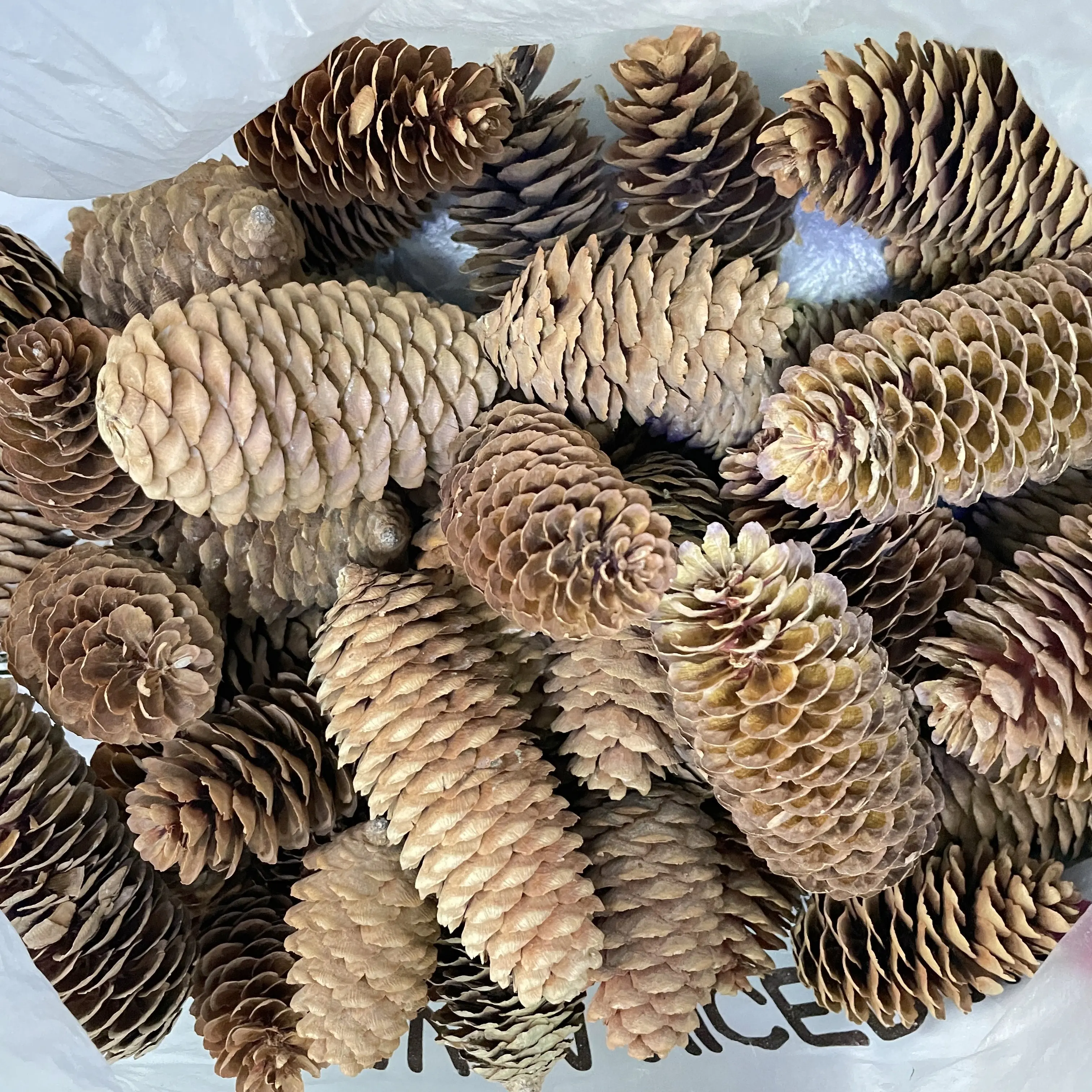 natural wood real pine cone christmas tree decoration hanging tree