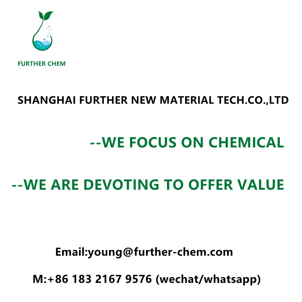 Manufacturer high quality Ethyl benzoate 99% CAS 93-89-0