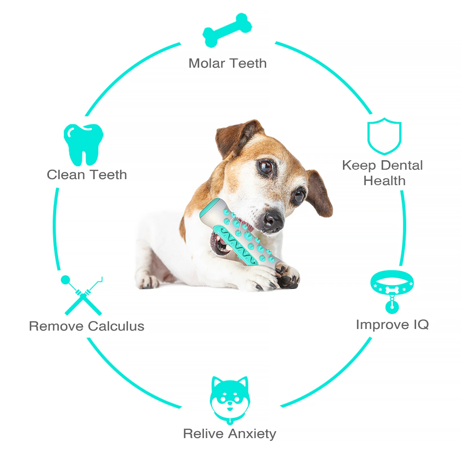 Factory Wholesale Wholesale Pet Supplier Pet Toy Dog Chew Toy for Pet Products Hot Sell