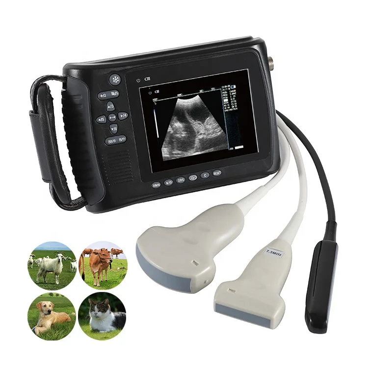 Best Price CE Handheld Veterinary Ultrasound Scanner Animal Pet Clinic Portable Doppler Ultrasound System instruments Machine