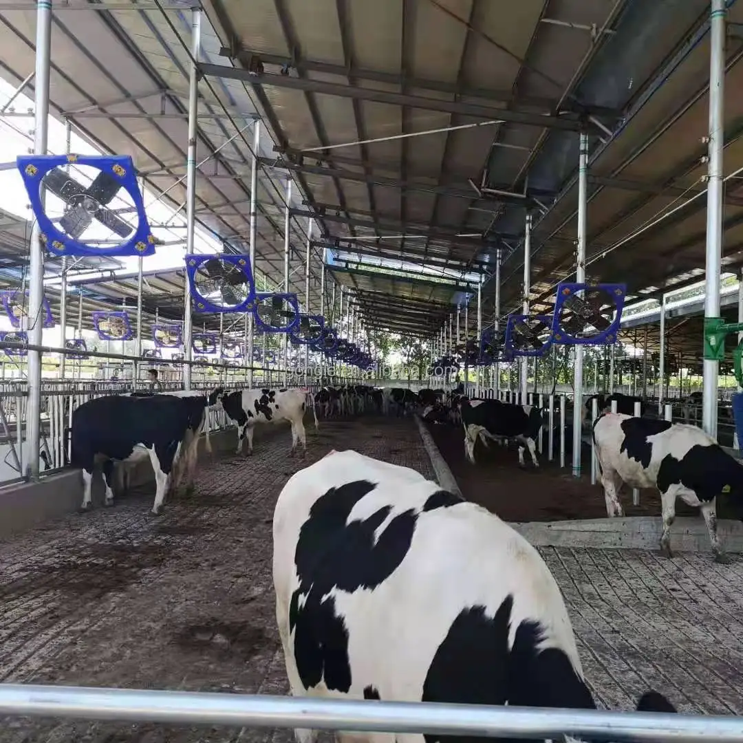 Dairy farm equipment double mesh cattle cooling fans/ceiling mount ventilation fans for cow / barn