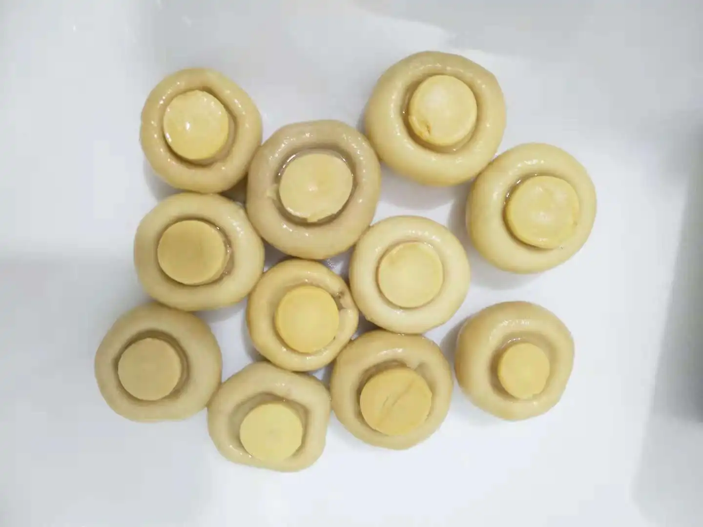 2021 quality canned mushroom