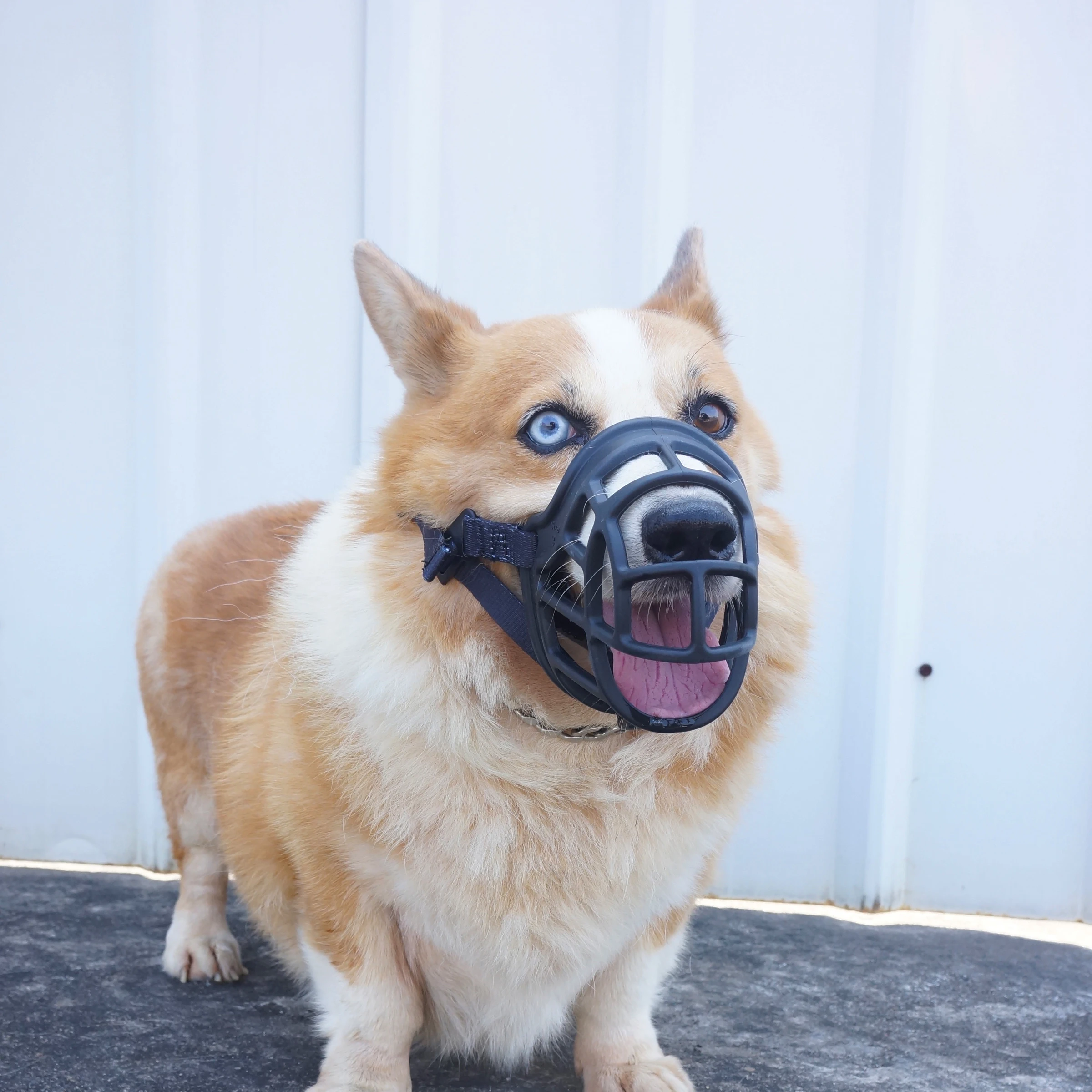 Anti bite baskerville ultra greyhound dog muzzle dogs design for large pet dog