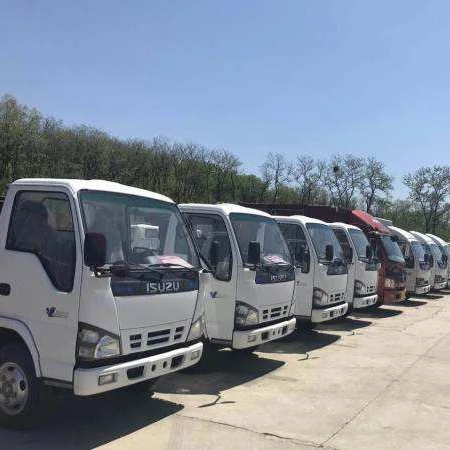 Hot sale npr mini 4x4 truck with isuzu trucks sale