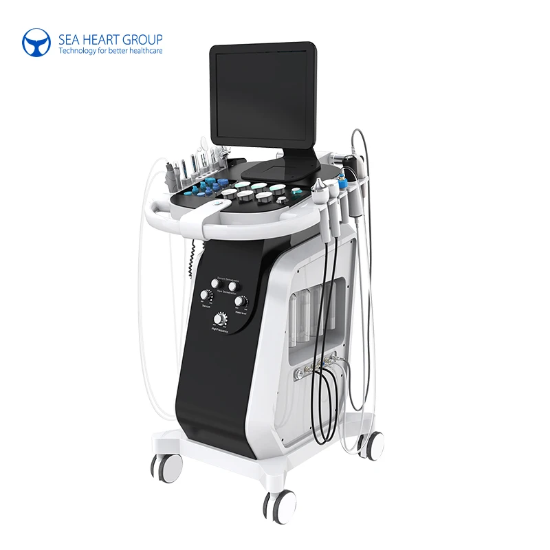2023 Hot Sale 14 In 1 Facial Machine Microcurrent Facial Machine Hydra Dermabrasion Machine from sea heart