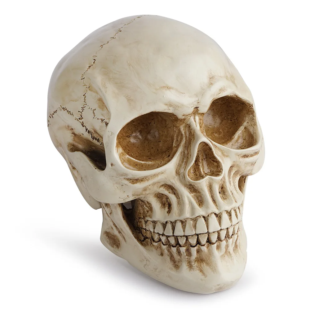 Resin Crafts Skull Model Teaching Aids Skull Animal Skull Halloween Props Fancy Dress Ball