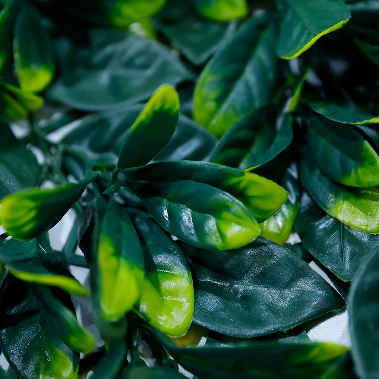 Moss Decoration Wall preserved green moss real stabilized moss decoration wall