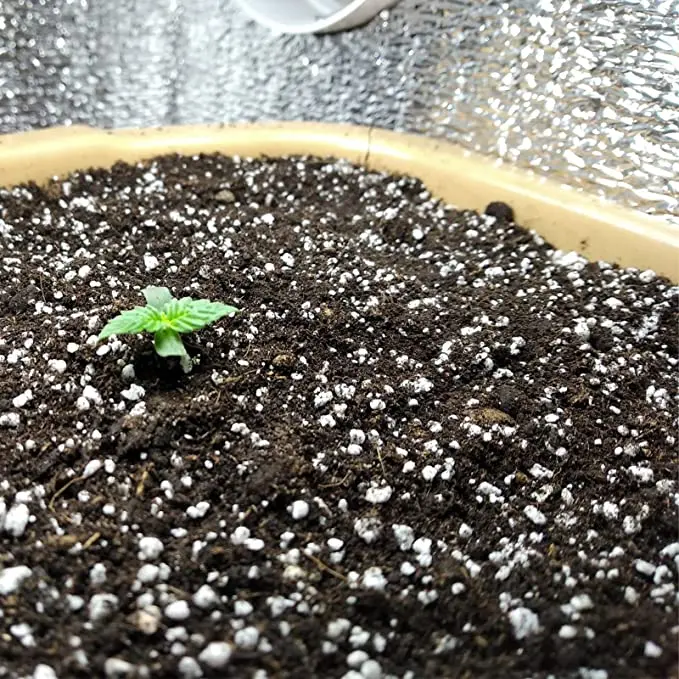 agricultural perlite farm planting perlite vermiculite perlite 3-6mm