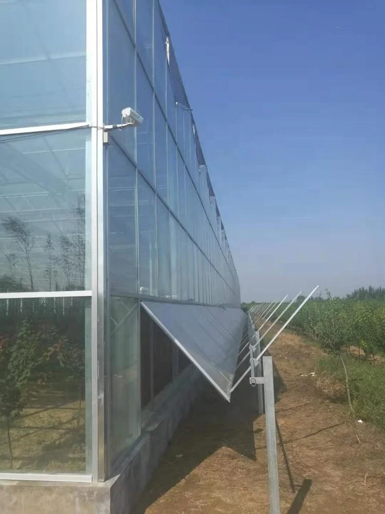Wholesale  Farming  Intelligent Tomato Hydroponic Soilless Growing Greenhouse/Steel Structure Multi-Span Glass Greenhouse