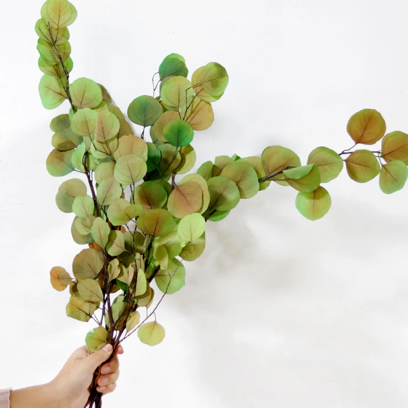 GH-031 Preserved eucalyptus branches silver dollar eucalyptus for vase wedding flower arrangements