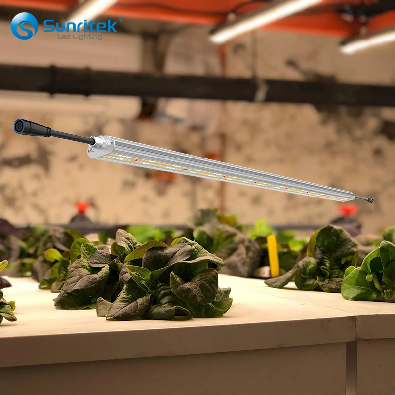 Led Grow Lighting control high ppfd grow light board vertical farm