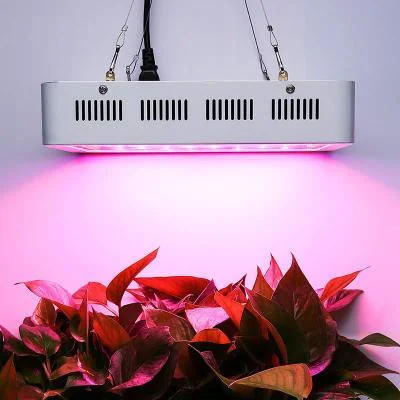 Lite High Quality LED Grow Lights 660nm Green House Full Spectrum LED Indoor Plant Light