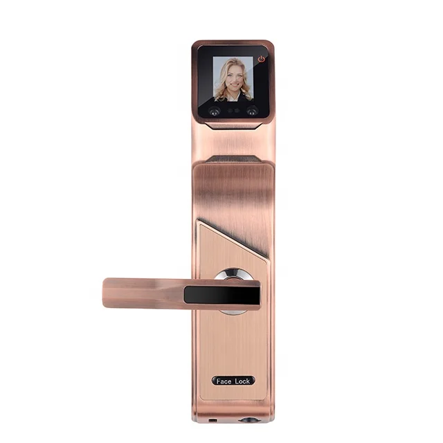 
Profession Zink Alloy fingerprint locking mailboxes Face recognitio smart lock door outdoor 