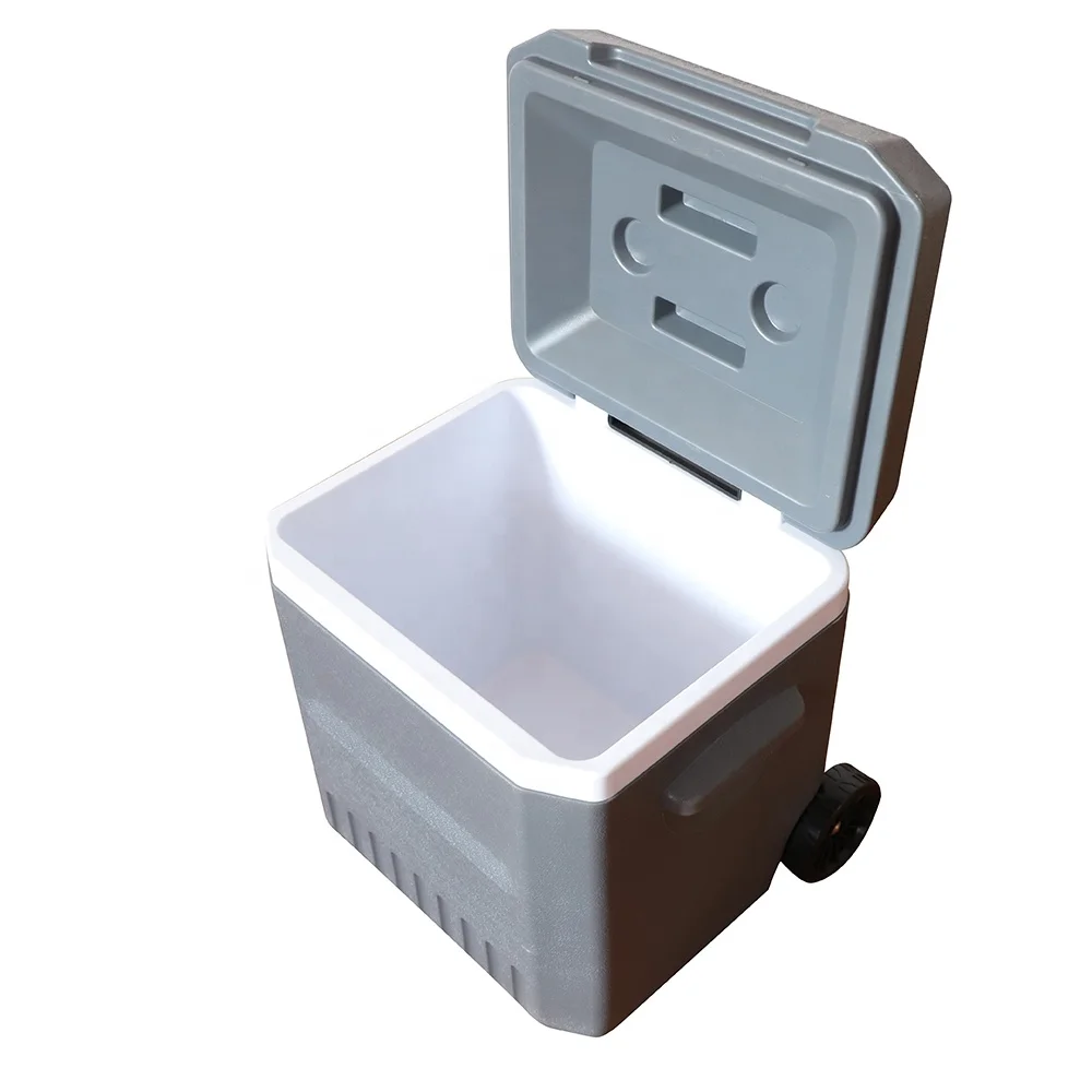 Reusable Insulated Plastic Outdoor Ice Box Portable Beer Can Drinking Cold Storage Bag Vacuum Insulated Panel Cooler Box
