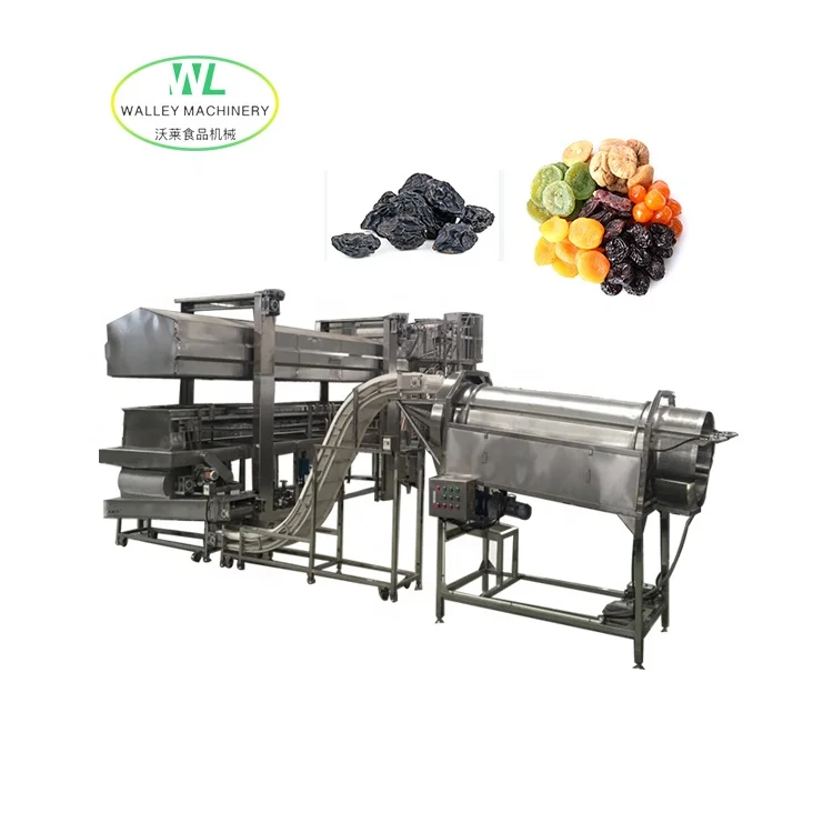 Hotsell Full Automatic Prune Raisin Washing and Drying Machine Plum Process Line Dried Mulberry Moisture Increasing Polishing