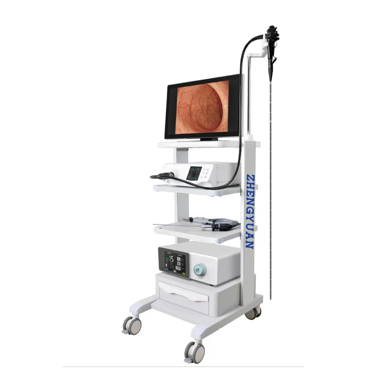 Industrial Port able USB Full HD Endoscopic Camera Ent Device For Pet Diagnosis