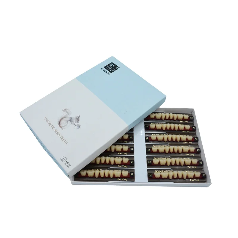 Yingpai, factory price, two layers, acrylic resin teeth, denture