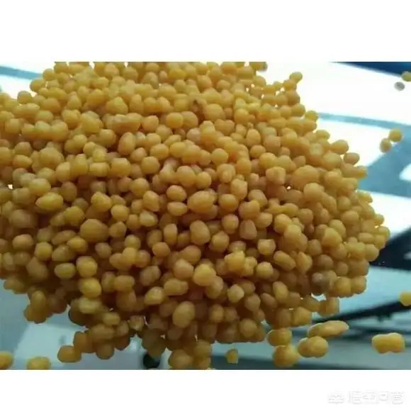 Low price diammonium phosphate import dap fertilizer 18 46 0