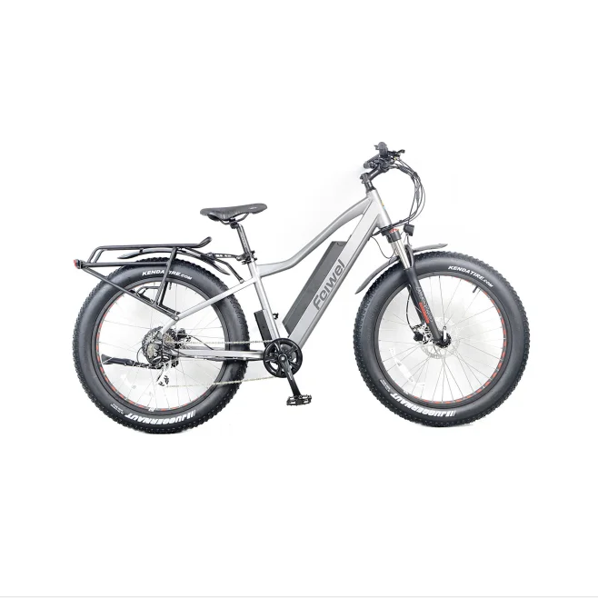 Best price Mountain electric bike 48V750W powerful bafang motor electric bike bicycle Fat tire E bike