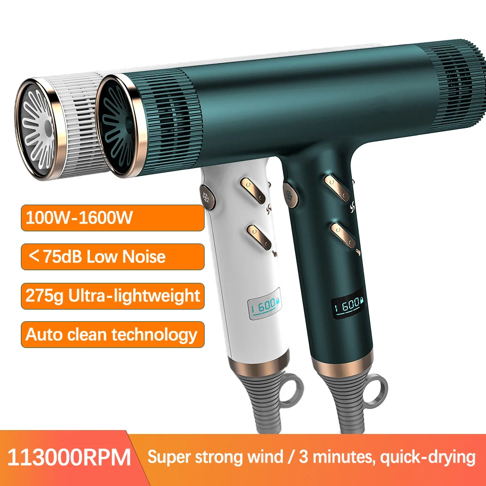 2022 Professional Hair Dryer 1600W 113000 RPM High Power Salons Hair Dryers Brushless Motor Low Noise Household Hair Dryer
