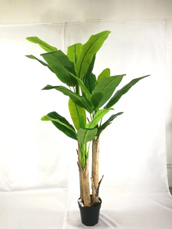 New Arrival Home Decorative Gigante Plastic Albero Artificial Bonanno Plant Bonsai Tree