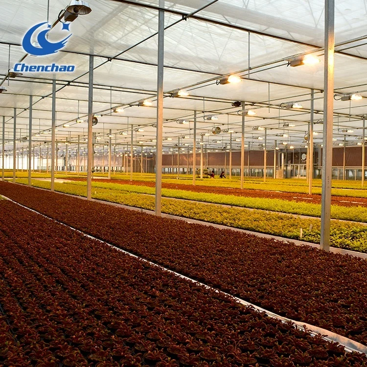 rolling benches ebb and flood tray tobacco seedbed