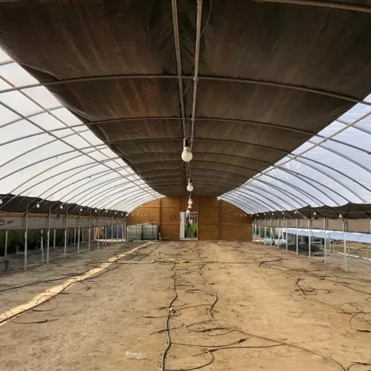 MYXL shade cloth blackout green house customization light deprivation agricultural greenhouses for sale