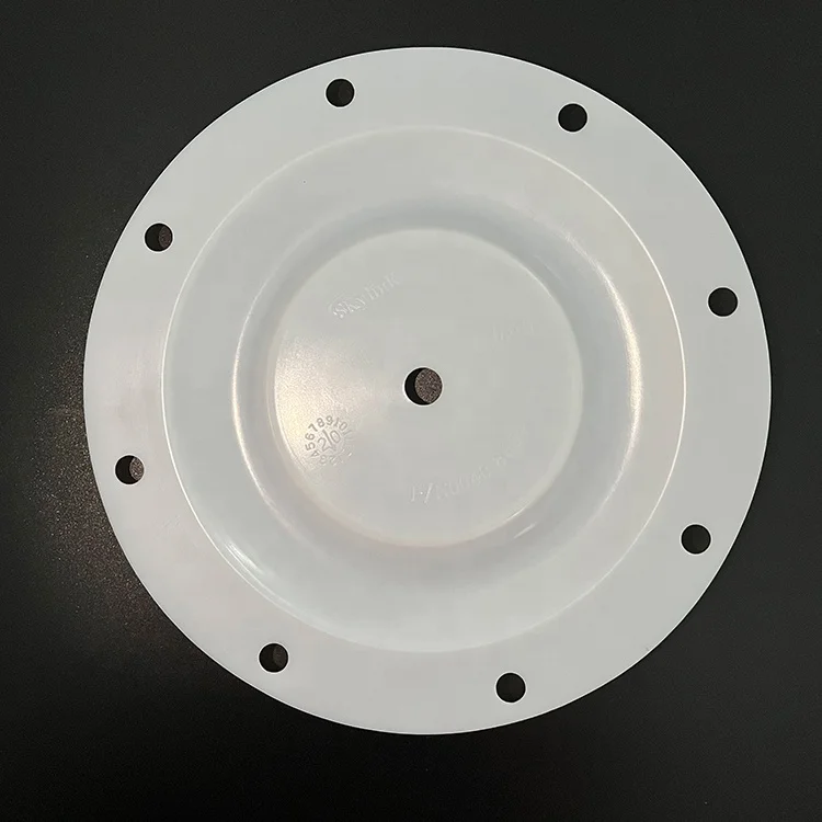 Factory High Quality Pump Spare Parts PTFE Diaphragm for Skylink Air Operated Pump