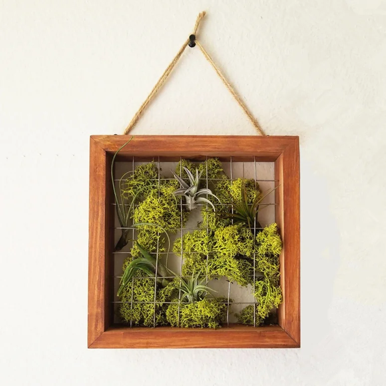 Wooden Air Plant Frame Hanging Holder Tillandsia Succulent Display Hanger Storage Shelf Wall Decor