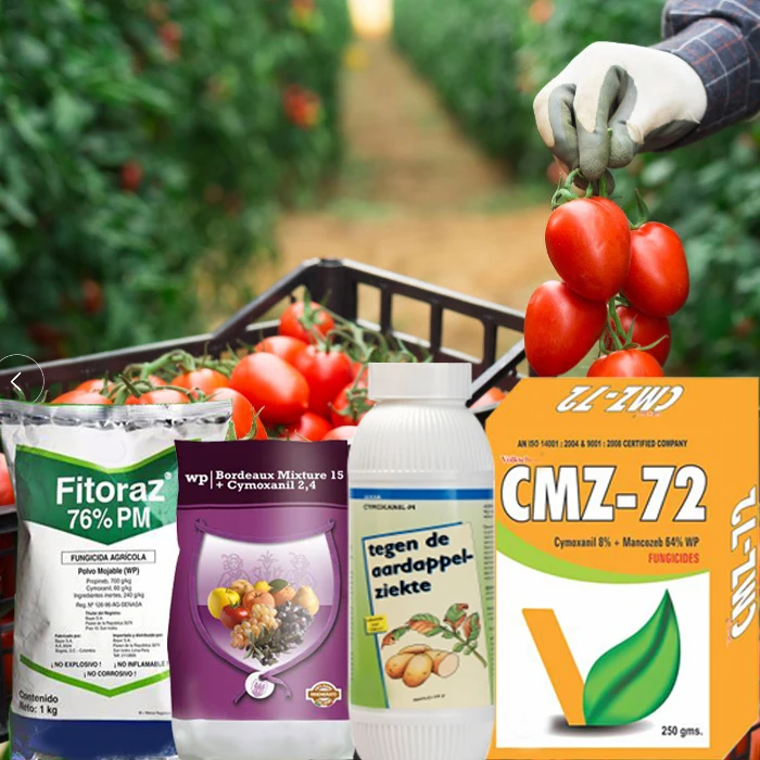Cymoxanil 98%TC 20%SC 20%WDG 80%WDG Curzate Asco Fobeci 57966-95-7 Fungicide Pesticides
