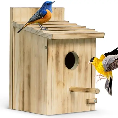 Custom carbonized pine solid wood feeding terrace outdoor sanctuary aviaries for birds aviary outdoor bird cage bird aviary