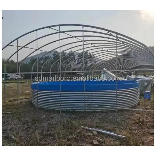 Customized Outdoor Tilapia Fish Farming Bbreeding System Other Aquaculture Equipment Ssupplies