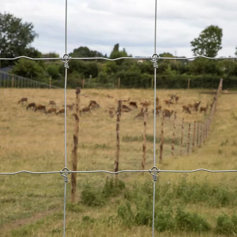 High Quality Horse Style Pasture Fixed Knot Animal Pasture Horse Ranch Fencing