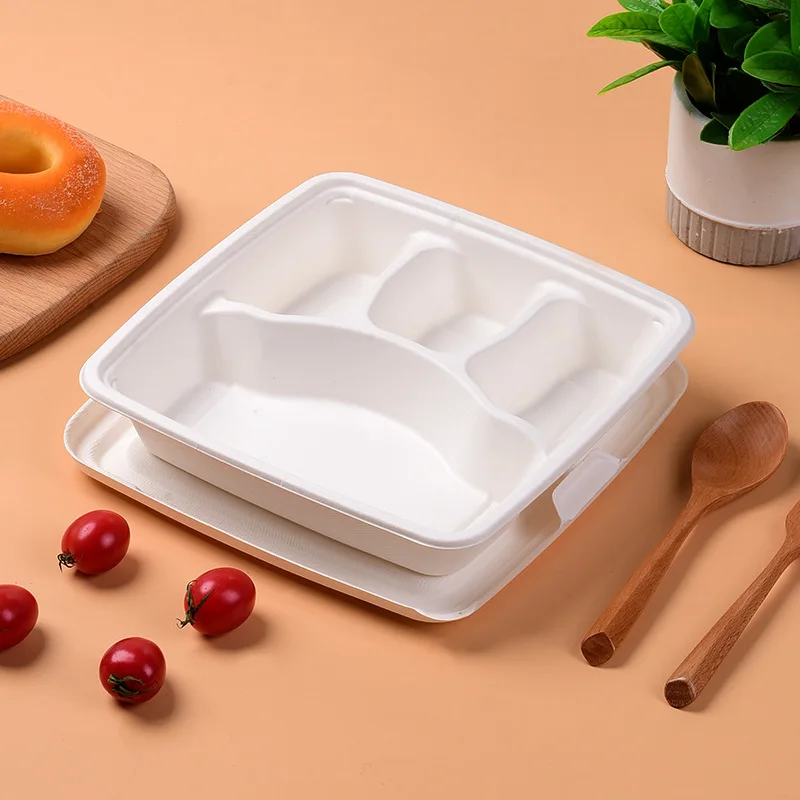 Cheap biodegradable lunch box 5 disposable sugarcane bagasse compostable dish