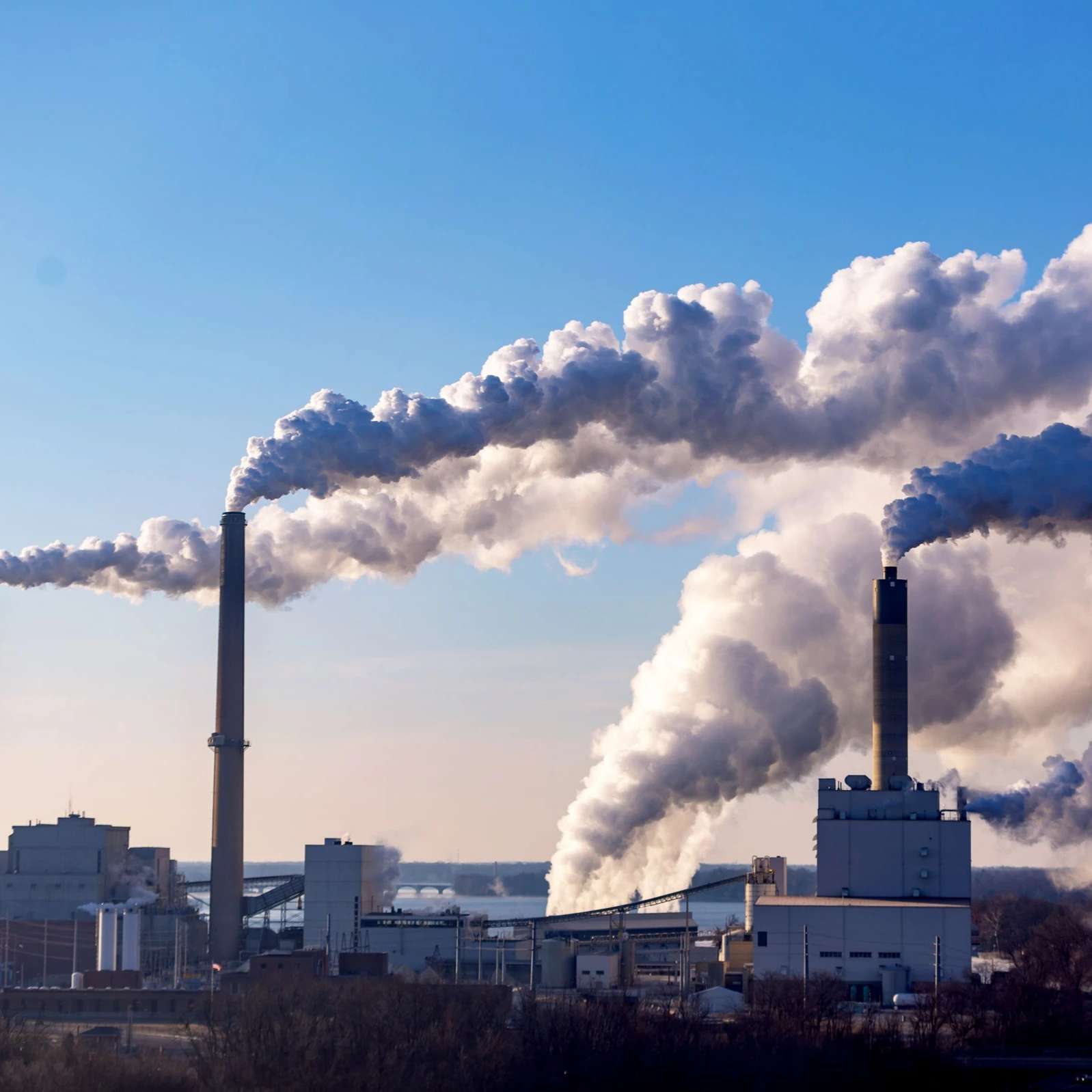 Steam coal origin Russia