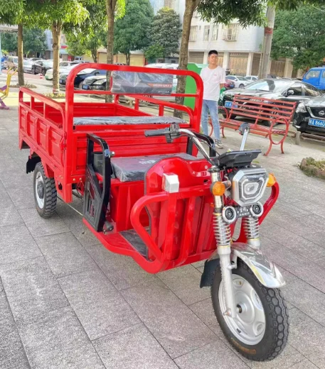 Factory direct electric tricycle load tricycltriciclo electrico adulto3 wheel electric vehicle