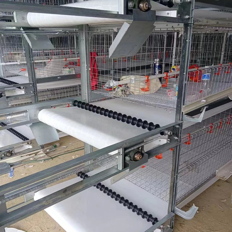 Steel Chicken Farming Prefab House Complete Solutions Automatic Layer Broiler Poultry Cage System Multifunctional Egg Chicken