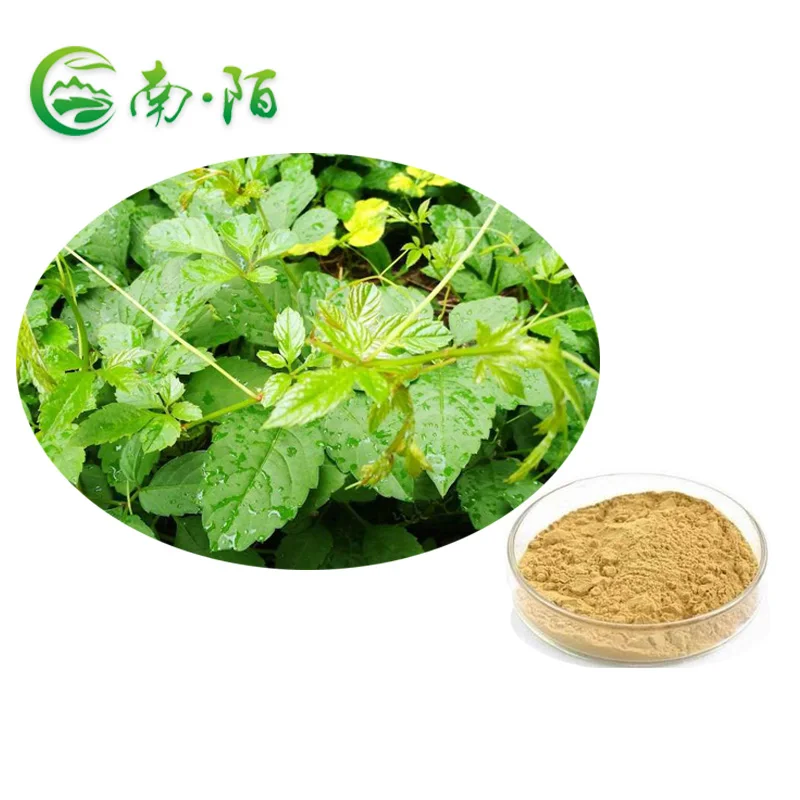 100% Pure Natural Plant Gynostemma Extract Powder 20%~98% Gypenoside Pentaphyllum