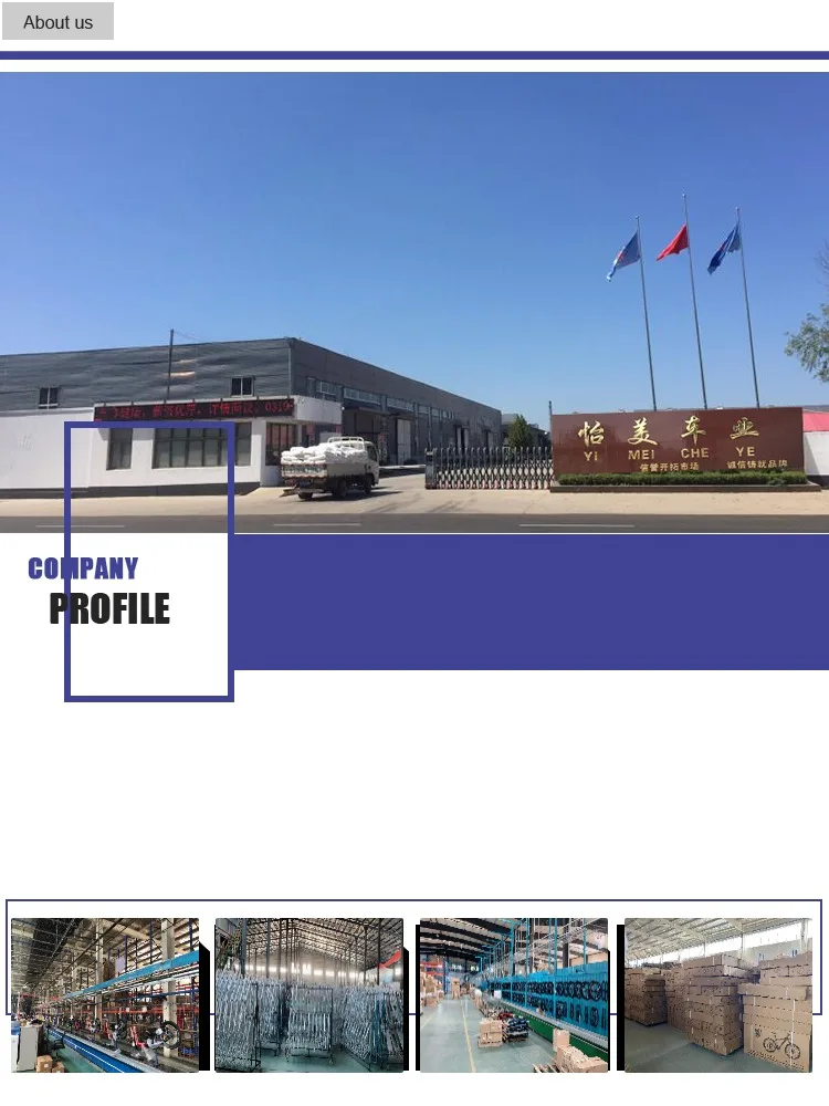 adult trike cover waterproof outdoor