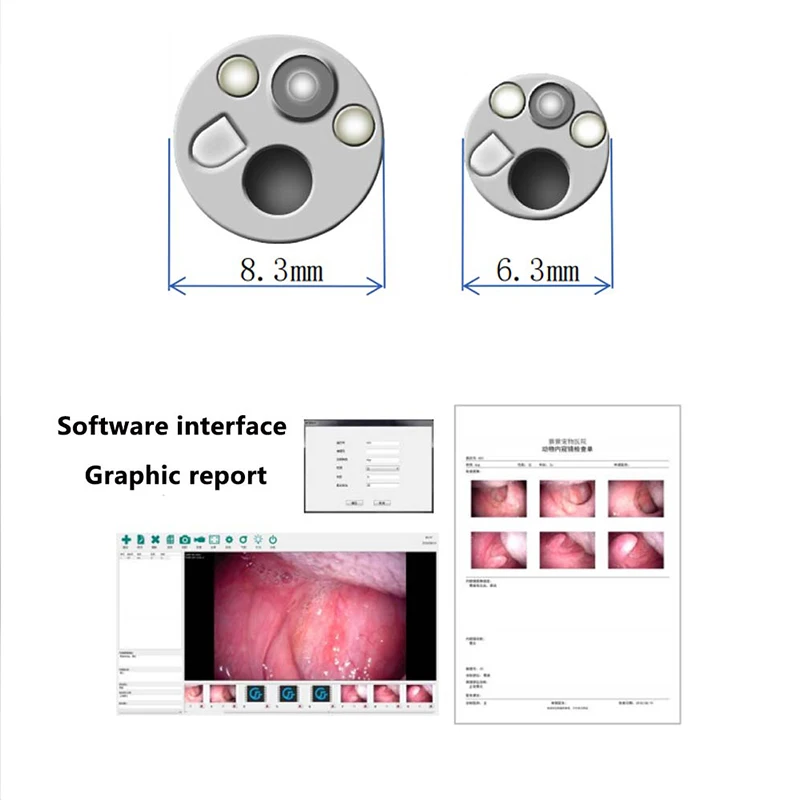 USB Endoscopic Camera Veterinary Portable 2.8mm Video Endoscope Flexible Endoscopy Full hd